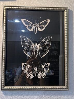Three-Butterfly Sapna Shah Print Wall Art 16 x 20 inches